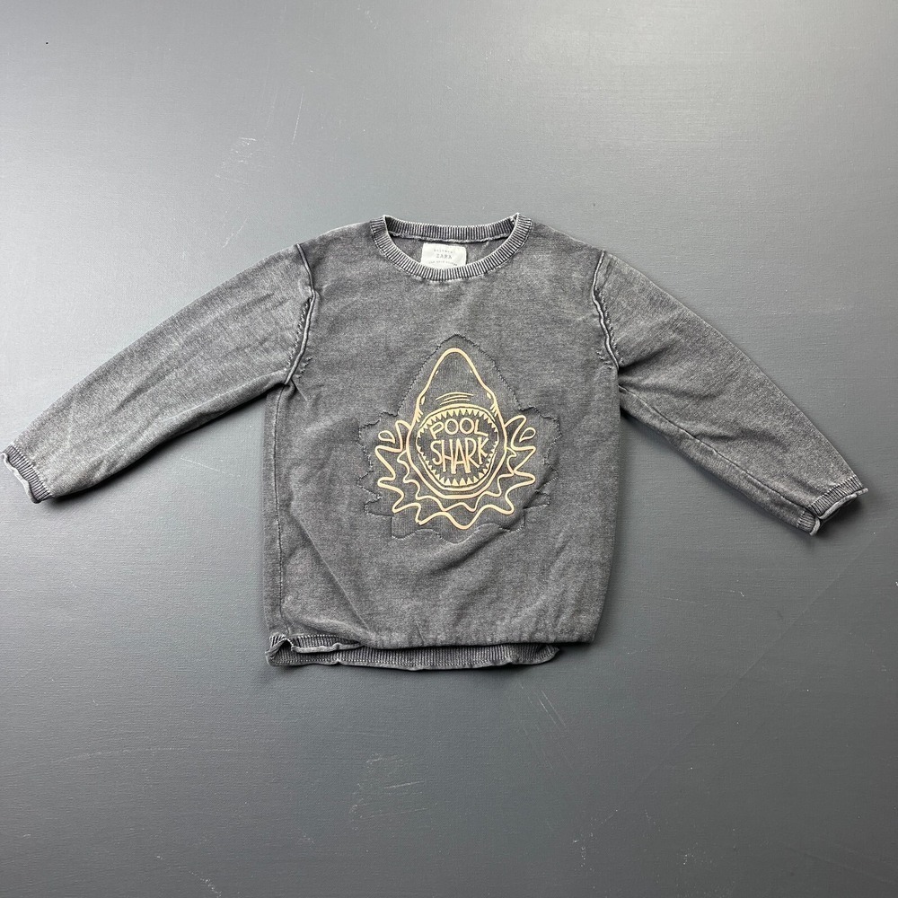 Zara Kids Boys 4 Gray Pool Shark Graphic Crewneck Pullover Sweatshirt Casual Top